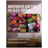 Вид 14